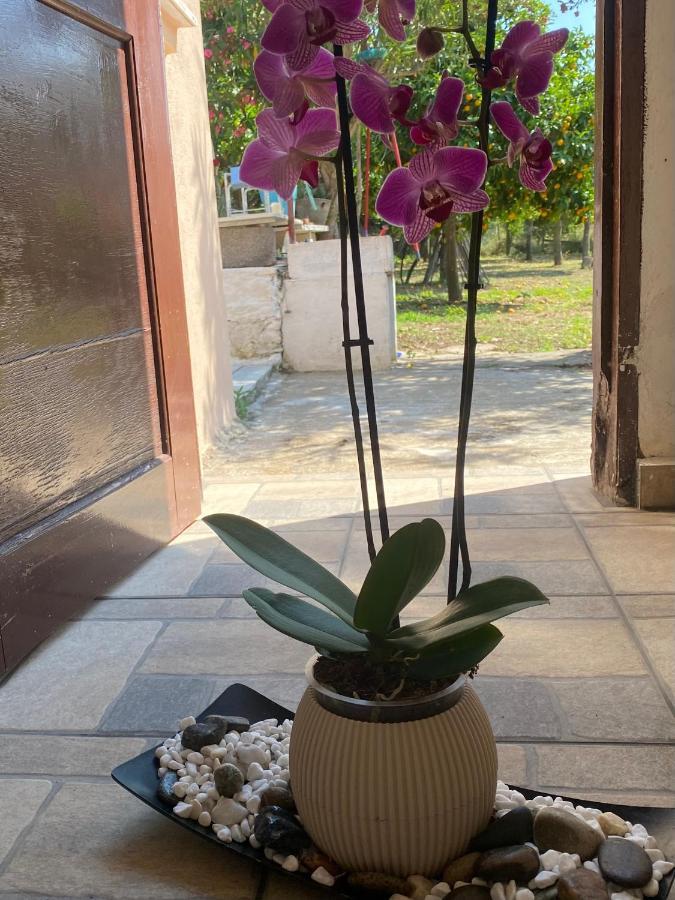 Tilemvi Seaside House Milina Pelion!!! Villa Koukouleika Екстериор снимка